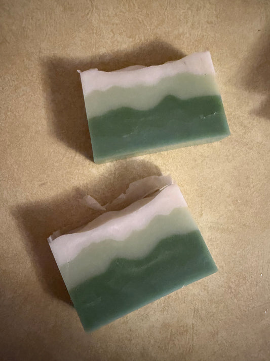 Eucalyptus Grove | Shea Butter Soap Bar with French Green Clay